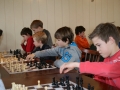 schoolschaak Zundert 2014