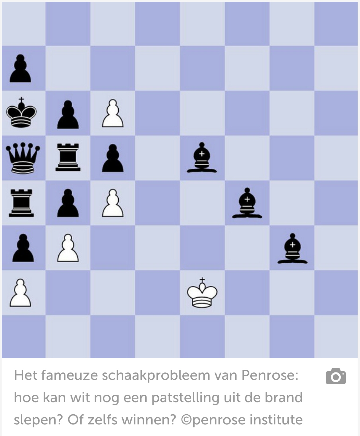 Kapper Daarom Tot ziens Vormt deze schaakpuzzel de sleutel tot het menselijke verstand? | SV de  Raadsheer